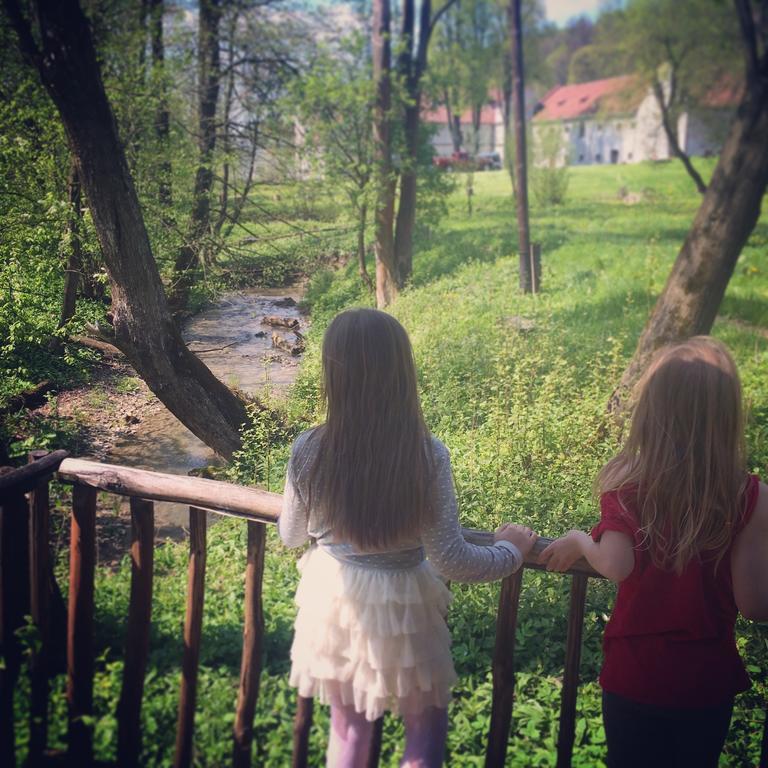 Zamek W Dziegielowie Екстериор снимка